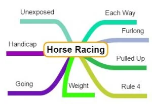 Horse Racing Terminology