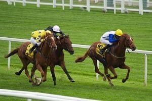 horse racing is difficult to predict