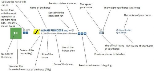 How To Read Horse Racing Form