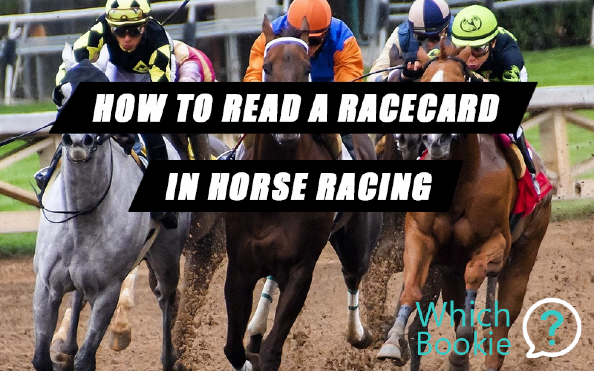 How To Read A Racecard In Horse Racing » Which Bookie