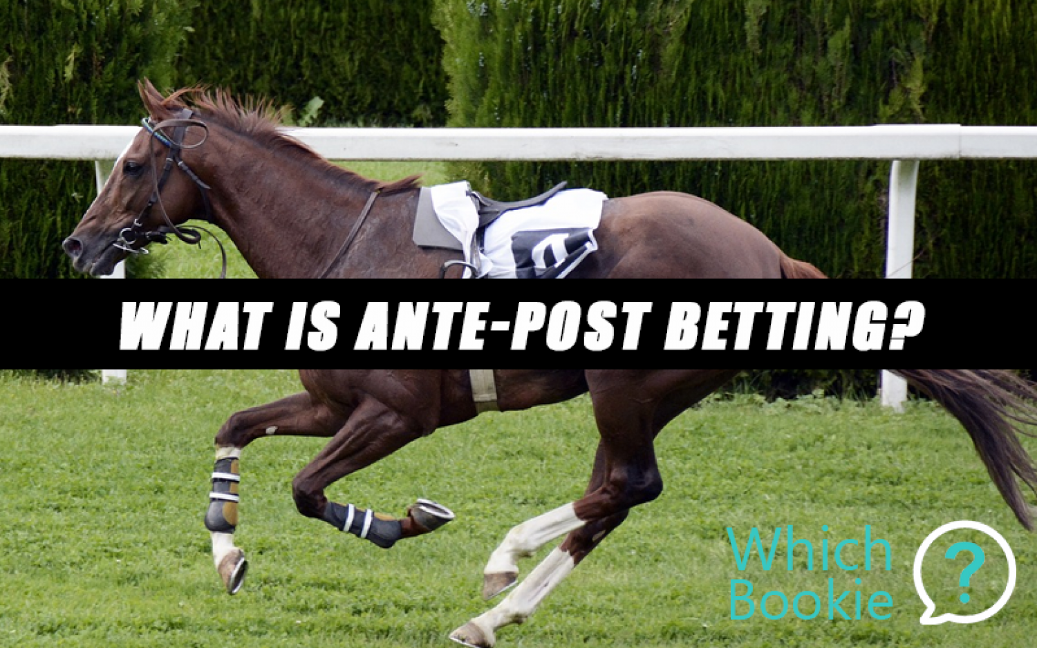 What Is Ante Post Betting? » Which Bookie